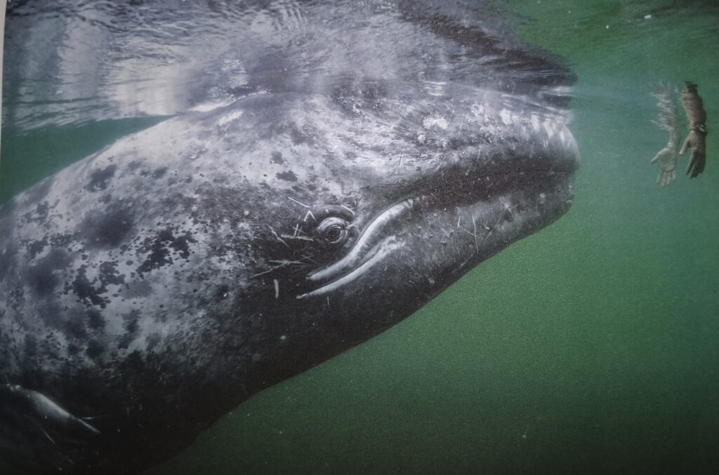 La imagen tiene un atributo ALT vacío; su nombre de archivo es 20250605_205250-1-1024x677.jpg