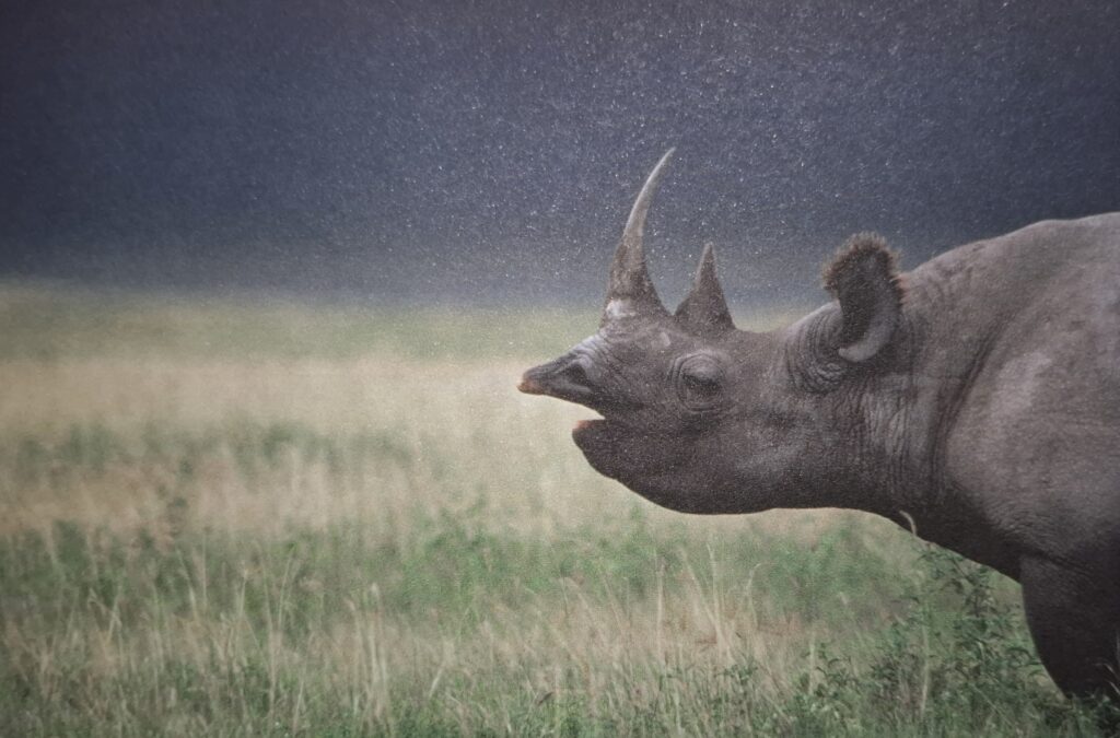 La imagen tiene un atributo ALT vacío; su nombre de archivo es 20250605_212416-1024x675.jpg