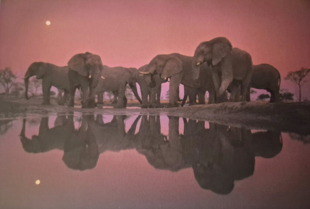 La imagen tiene un atributo ALT vacío; su nombre de archivo es 20250607_141342-1024x692.jpg