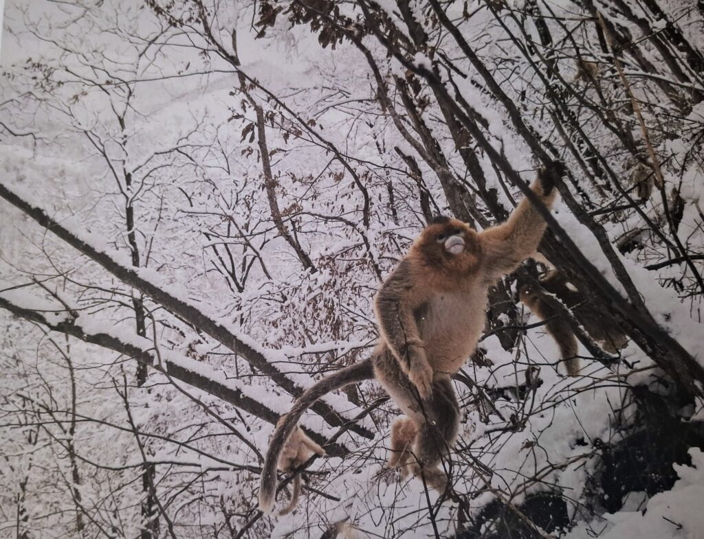 La imagen tiene un atributo ALT vacío; su nombre de archivo es 20250607_141431-1024x785.jpg