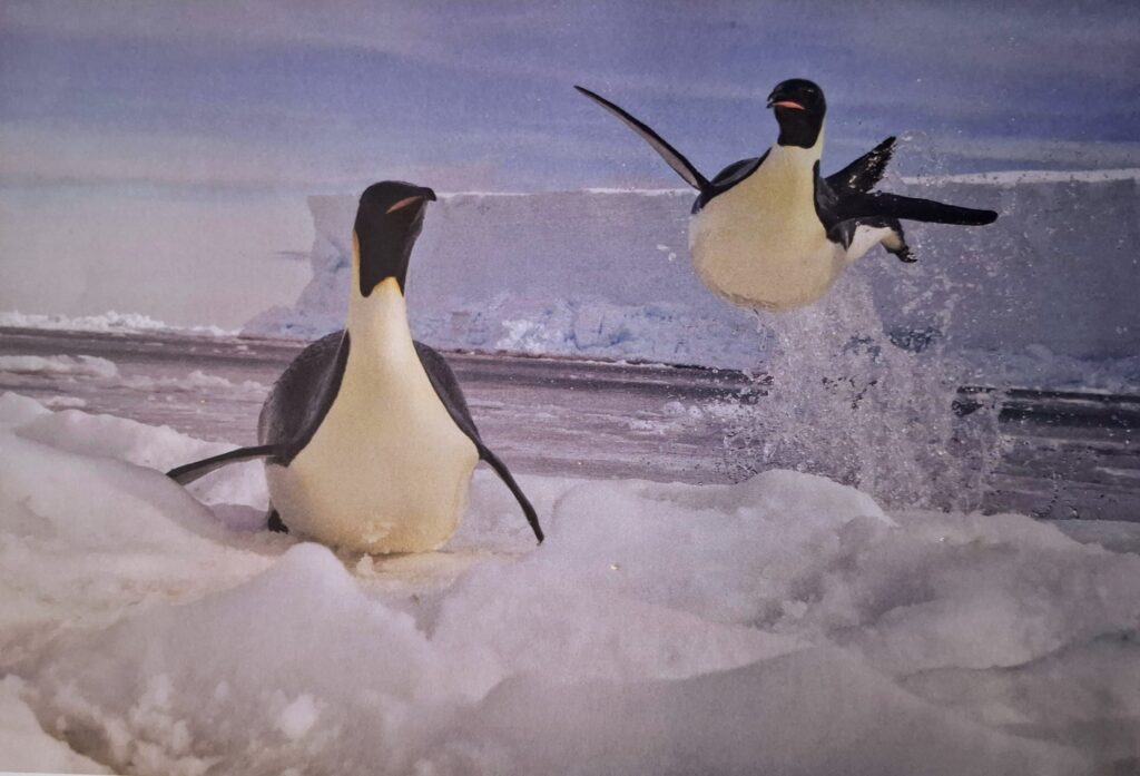 La imagen tiene un atributo ALT vacío; su nombre de archivo es image-1024x697.jpg