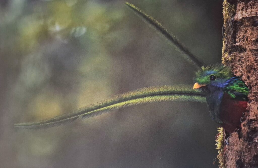 La imagen tiene un atributo ALT vacío; su nombre de archivo es image_2-1024x670.jpg