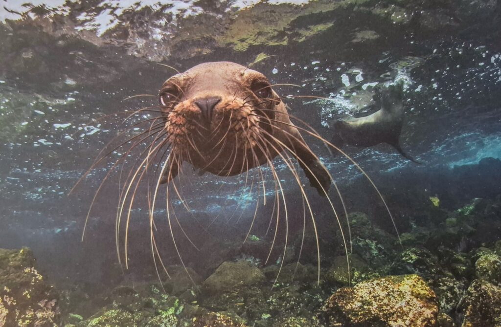 La imagen tiene un atributo ALT vacío; su nombre de archivo es image_4-1024x669.jpg